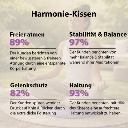 Harmonie Kissen - für sofortige aufrechte Haltung