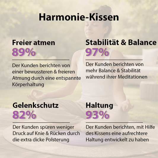 Harmonie Kissen - für sofortige aufrechte Haltung